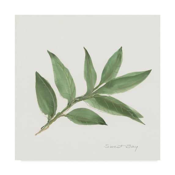 Trademark Fine Art 'Sweet Bay' Canvas Art by Chris Paschke