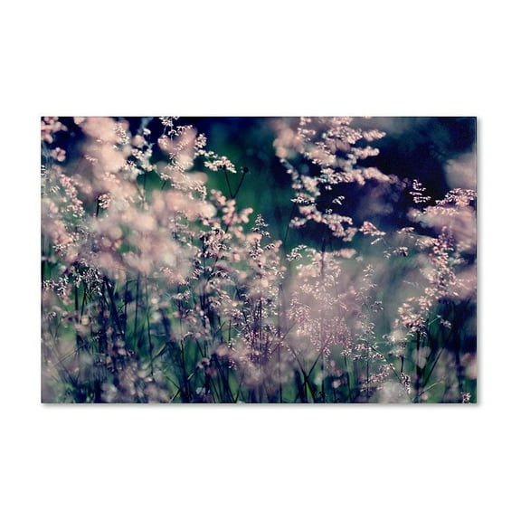 Trademark Fine Art "Sweet Emotions" Canvas Art by Beata Czyzowska Young