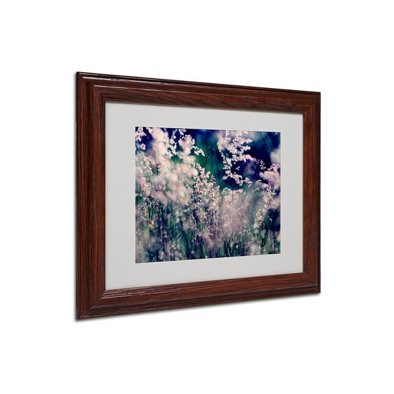 Trademark Fine Art "Sweet Emotions" Framed Canvas Art by Beata Czyzowska Young