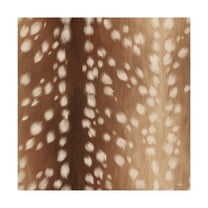 Trademark Fine Art 'Sweet Fawn I' Canvas Art by Janelle Penner