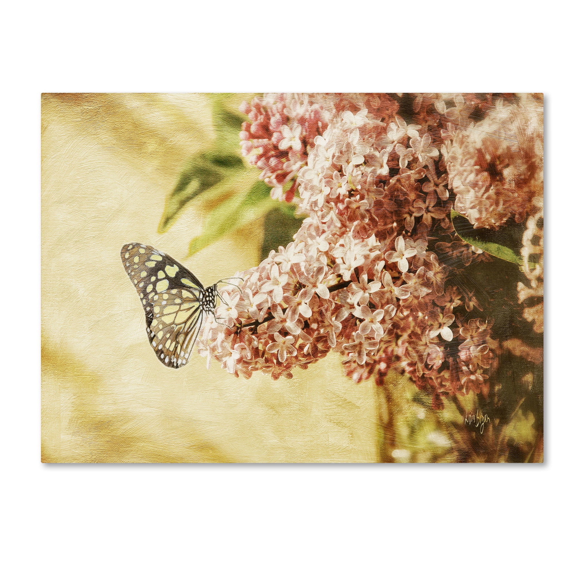 Trademark Fine Art "Sweet Lilacs" Canvas Art by Lois Bryan