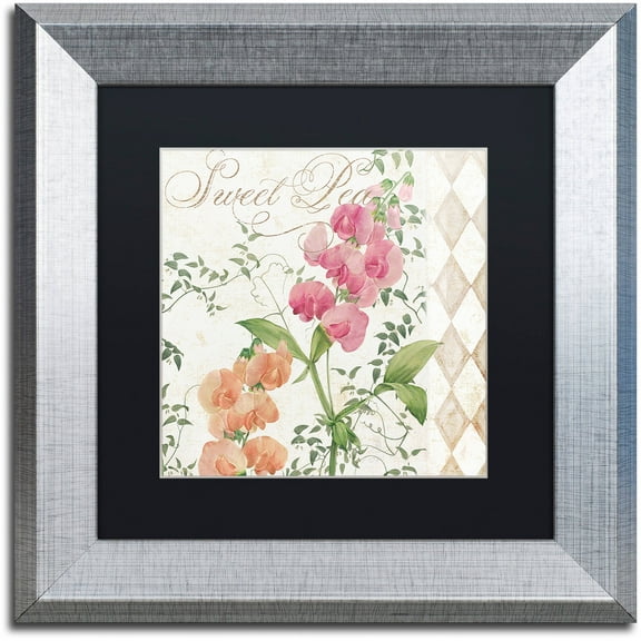 Trademark Fine Art "Sweet Pea" Canvas Art by Color Bakery Black Matte, Silver Frame