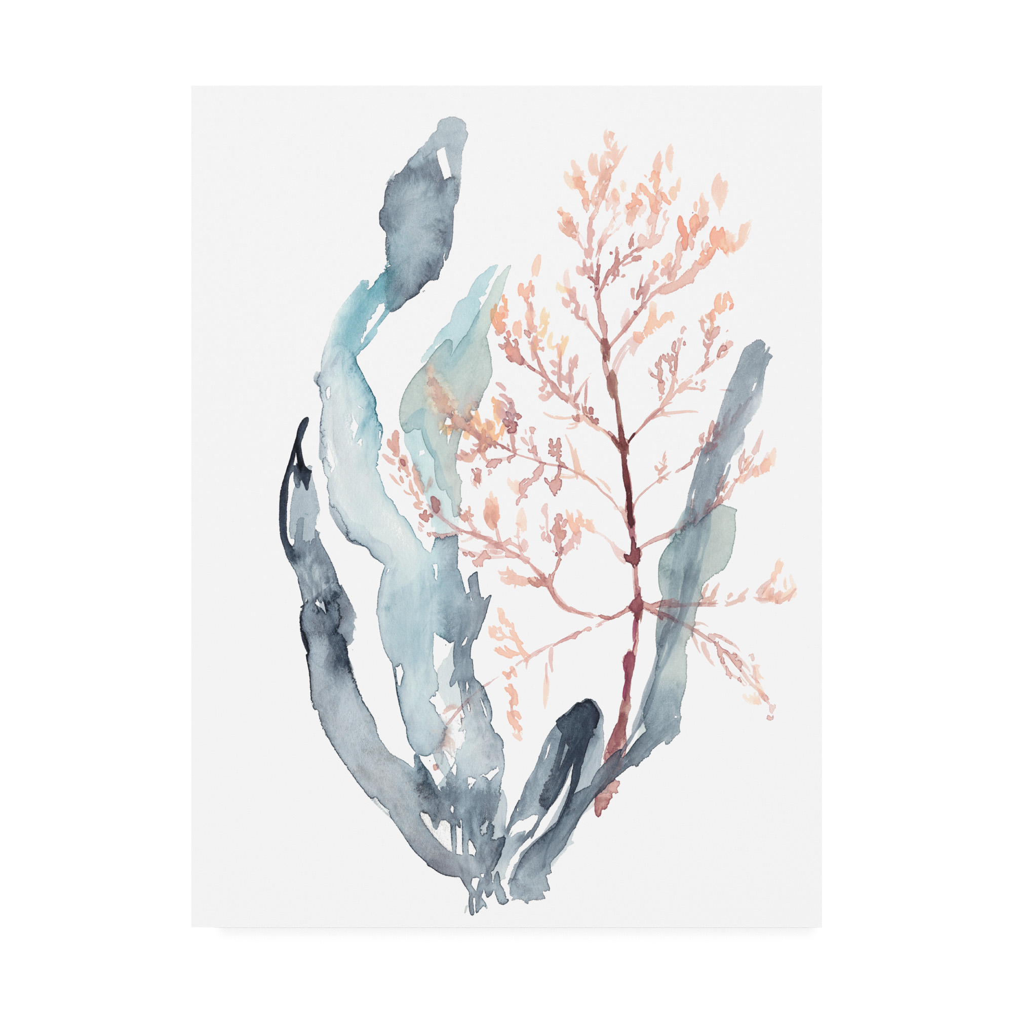 Trademark Fine Art 'Sweet Seaweed II' Canvas Art by Jennifer Goldberger