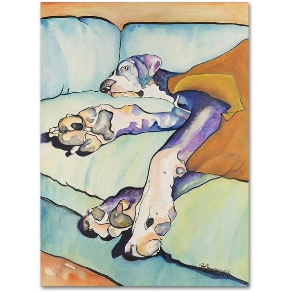 Trademark Fine Art "Sweet Sleep II" Canvas Art by Pat Saunders-White