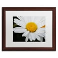 thumbnail image 1 of Trademark Fine Art "Sweet Splendor" Canvas Art by Monica Mize, White Matte, Wood Frame, 1 of 5