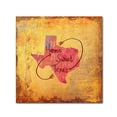 thumbnail image 1 of Trademark Fine Art 'Sweet Texas' Canvas Art by Art Licensing Studio, 1 of 3