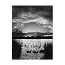 Trademark Fine Art 'Swimming Pool Clouds' Canvas Art by Martin Henson