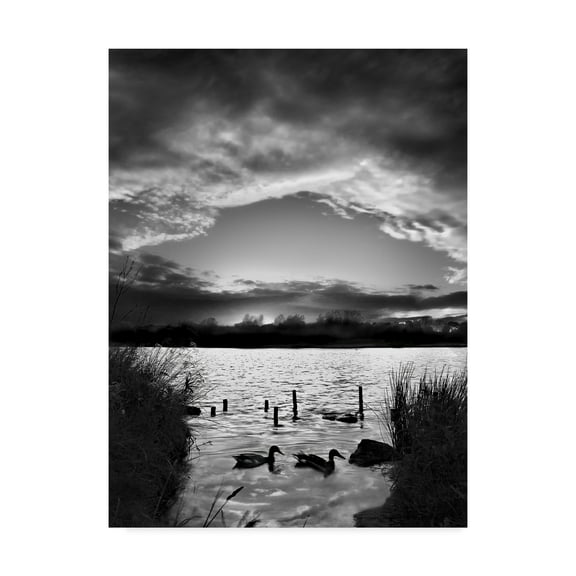 Trademark Fine Art 'Swimming Pool Clouds' Canvas Art by Martin Henson