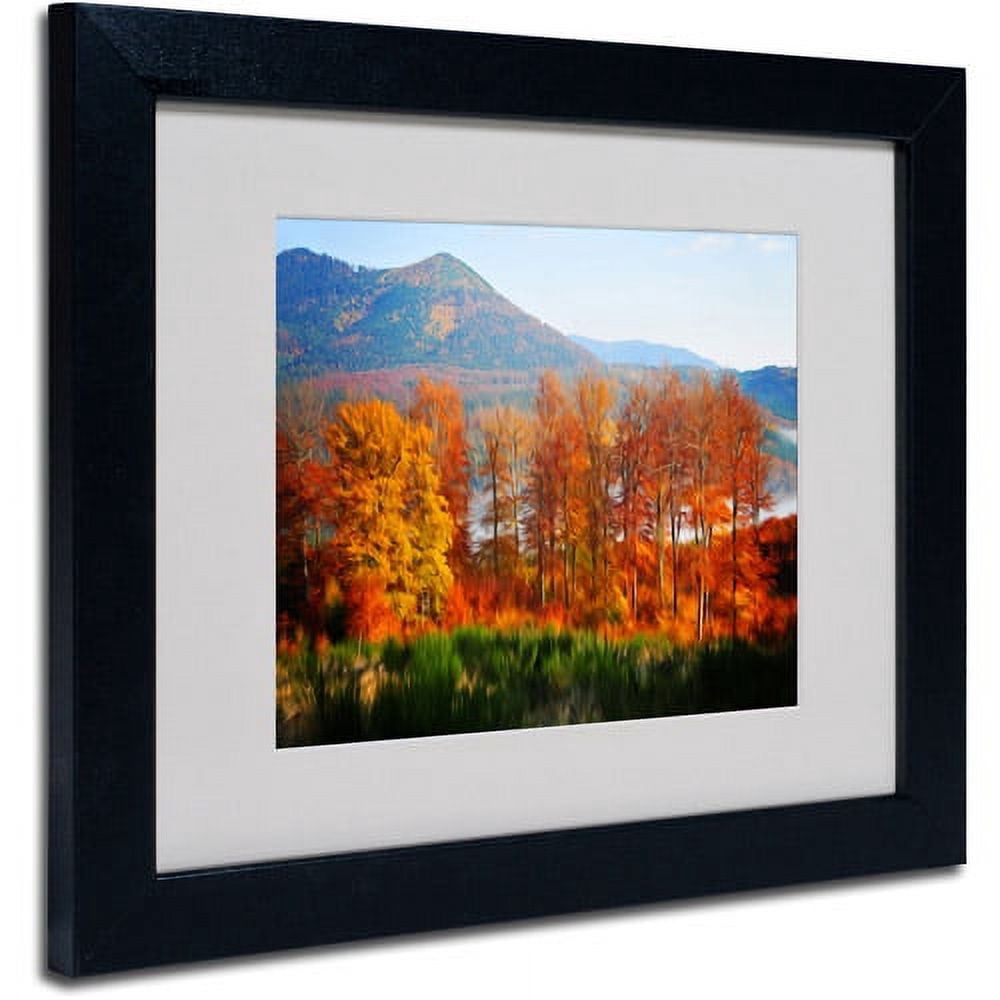 Trademark Fine Art "Swing" Canvas Art by Philippe Sainte-Laudy, Black Frame