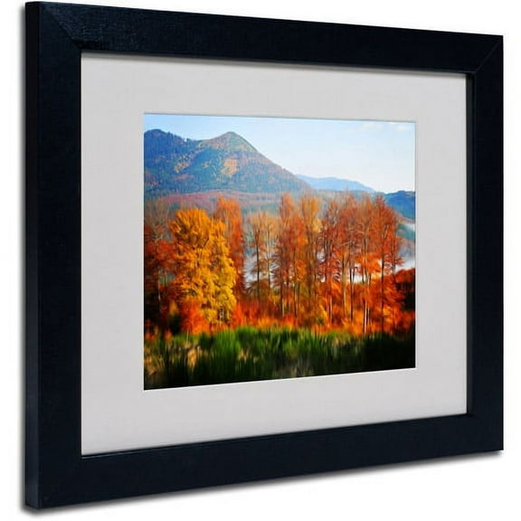 Trademark Fine Art "Swing" Canvas Art by Philippe Sainte-Laudy, Black Frame