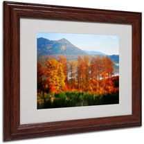 Trademark Fine Art "Swing" Canvas Art by Philippe Sainte-Laudy, Wood Frame