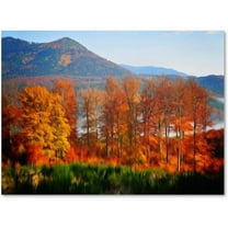 Trademark Fine Art "Swing" Canvas Art by Philippe Sainte-Laudy