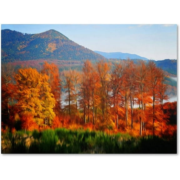 Trademark Fine Art "Swing" Canvas Art by Philippe Sainte-Laudy