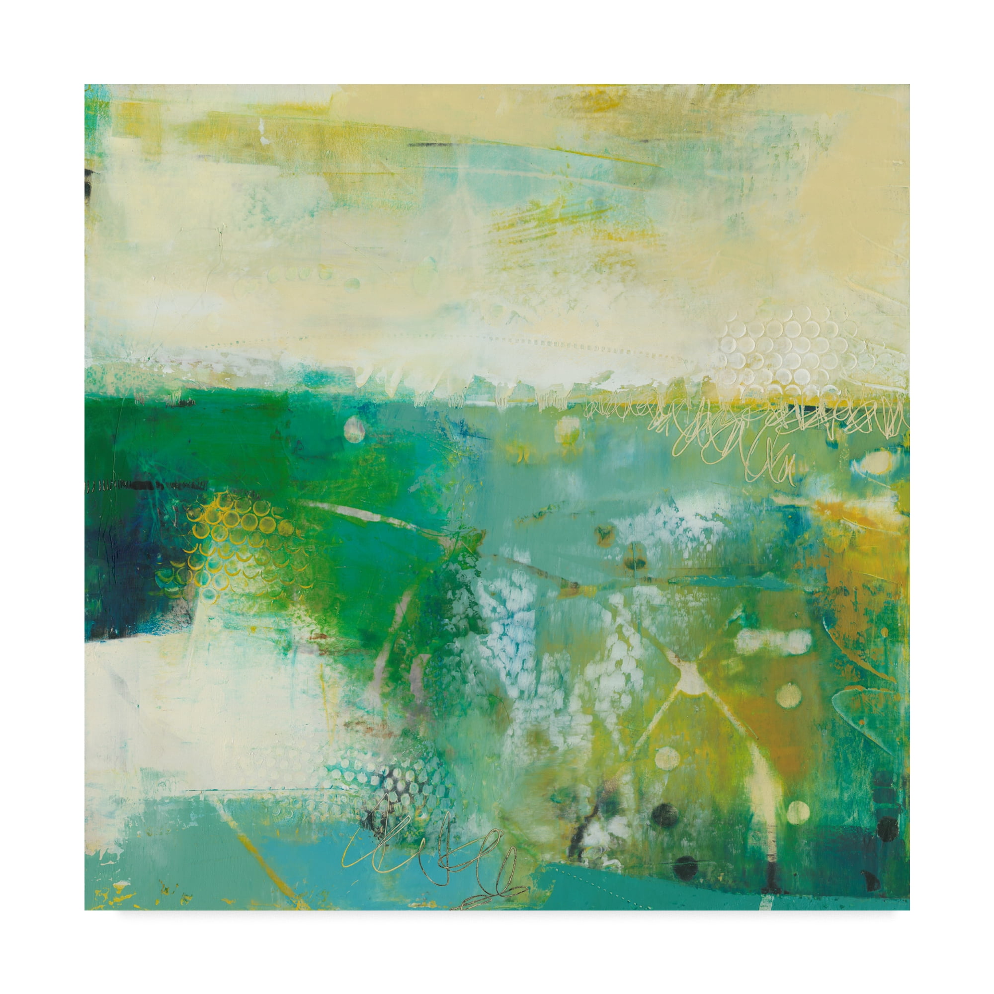 Trademark Fine Art 'Swith' Canvas Art by Sue Jachimiec
