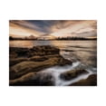 thumbnail image 1 of Trademark Fine Art 'Sydney in Gold and Blue' Canvas Art by Danny Head, 1 of 4