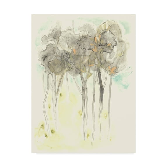 Trademark Fine Art 'Sylvan Sketch II' Canvas Art by June Erica Vess
