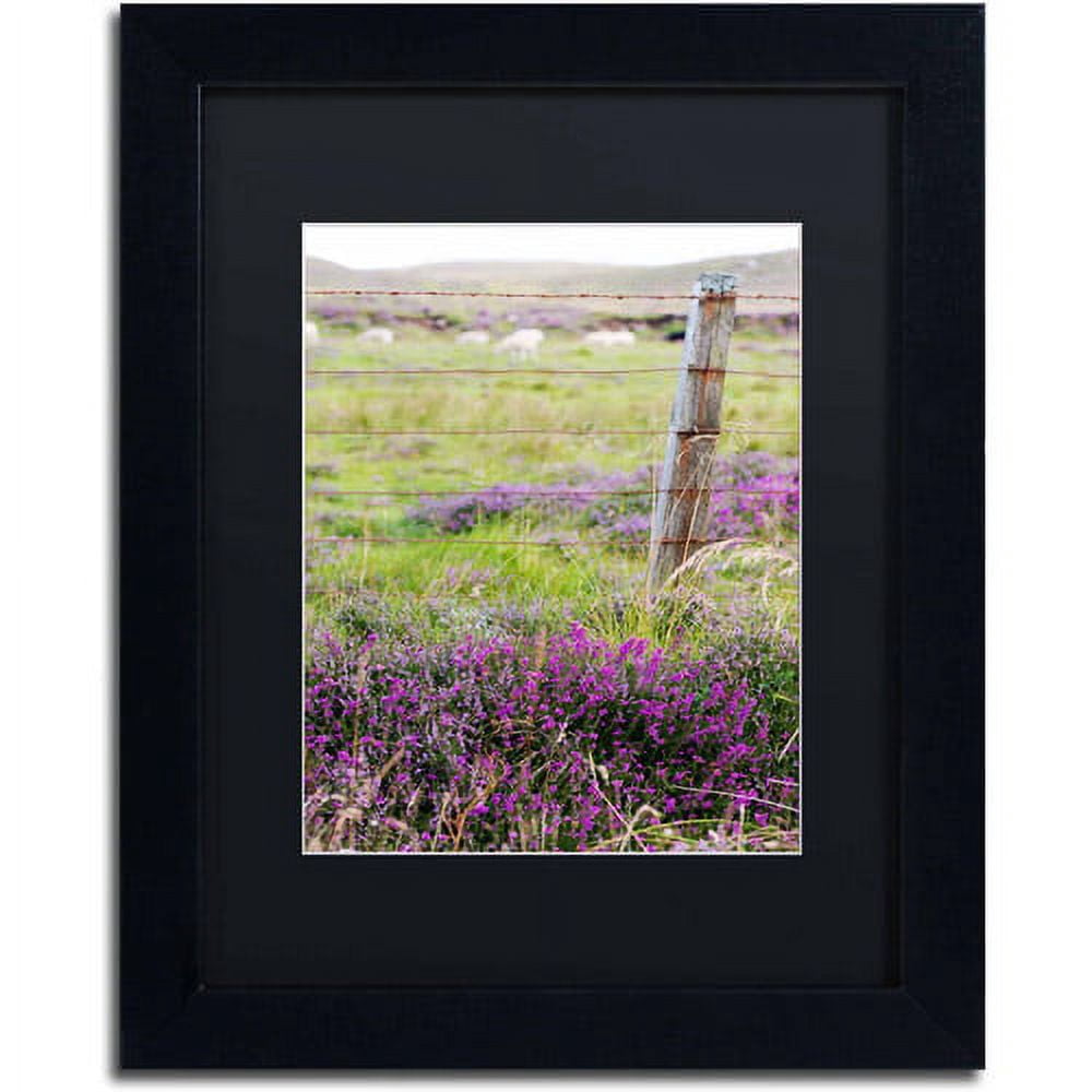 Trademark Fine Art "Symbol" Canvas Art by Philippe Sainte-Laudy, Black Matte, Black Frame