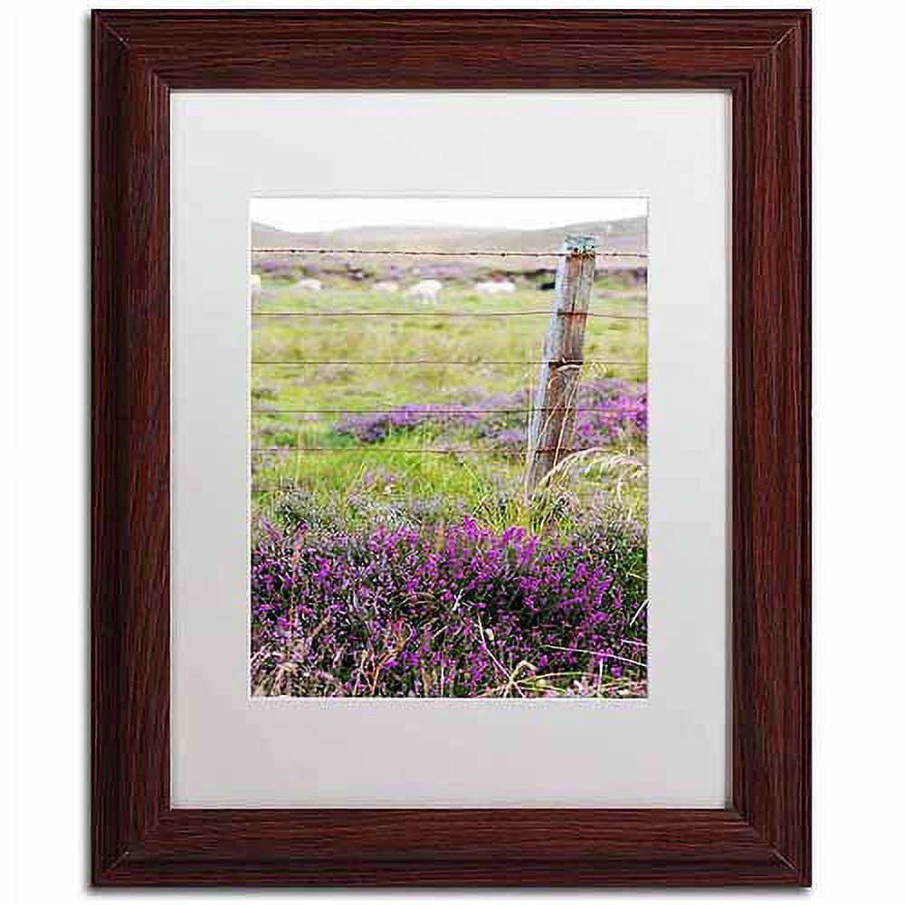 Trademark Fine Art "Symbol" Canvas Art by Philippe Sainte-Laudy, Black Matte, Wood Frame