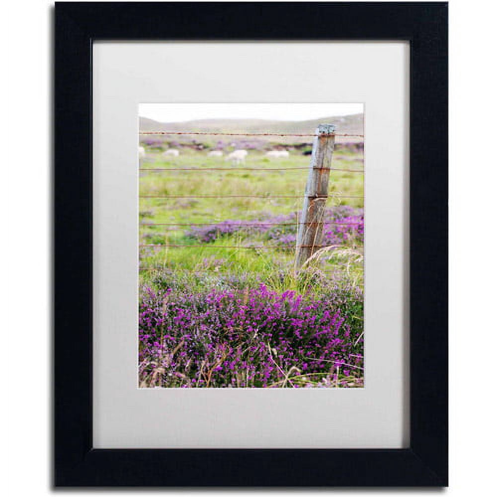 Trademark Fine Art "Symbol" Canvas Art by Philippe Sainte-Laudy, White Matte, Black Frame