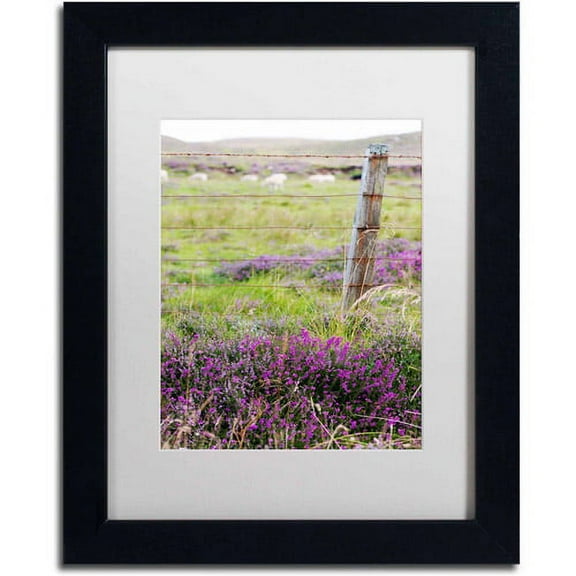 Trademark Fine Art "Symbol" Canvas Art by Philippe Sainte-Laudy, White Matte, Black Frame