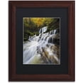 thumbnail image 1 of Trademark Fine Art "Symphony of Autumn" Canvas Art by Mathieu Rivrin, Black Matte, Wood Frame, 1 of 4