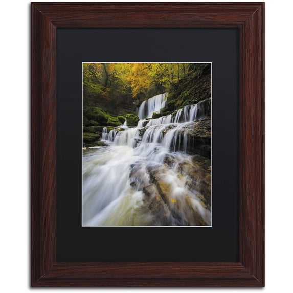 Trademark Fine Art "Symphony of Autumn" Canvas Art by Mathieu Rivrin, Black Matte, Wood Frame
