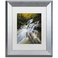 thumbnail image 1 of Trademark Fine Art "Symphony of Autumn" Canvas Art by Mathieu Rivrin, White Matte, Silver Frame, 1 of 4