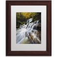 thumbnail image 1 of Trademark Fine Art "Symphony of Autumn" Canvas Art by Mathieu Rivrin, White Matte, Wood Frame, 1 of 4