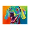 thumbnail image 1 of Trademark Fine Art 'Taffy' Canvas Art by DawgArt, 1 of 3