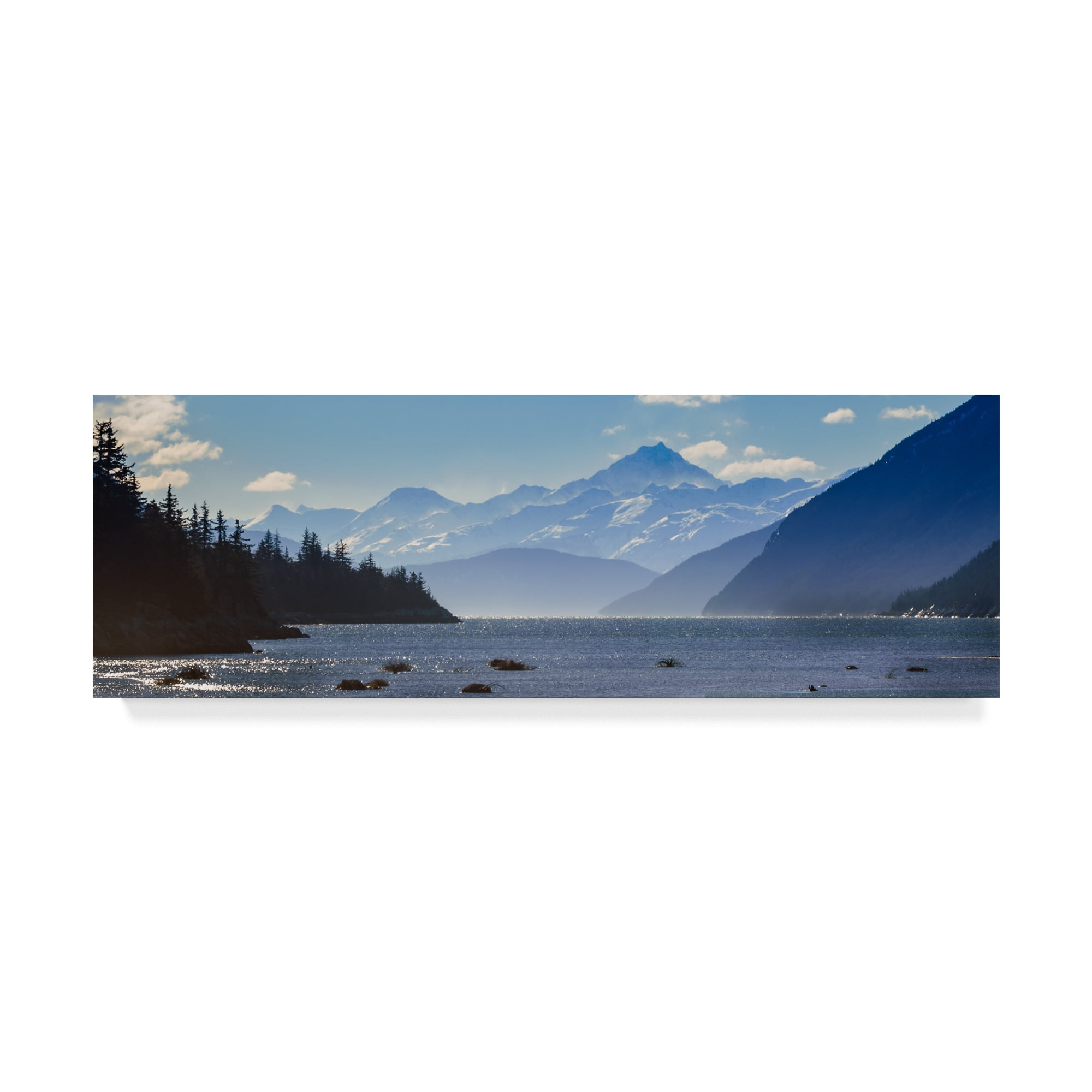 Trademark Fine Art 'Taiya Inlet' Canvas Art by Brenda Petrella Photography Llc