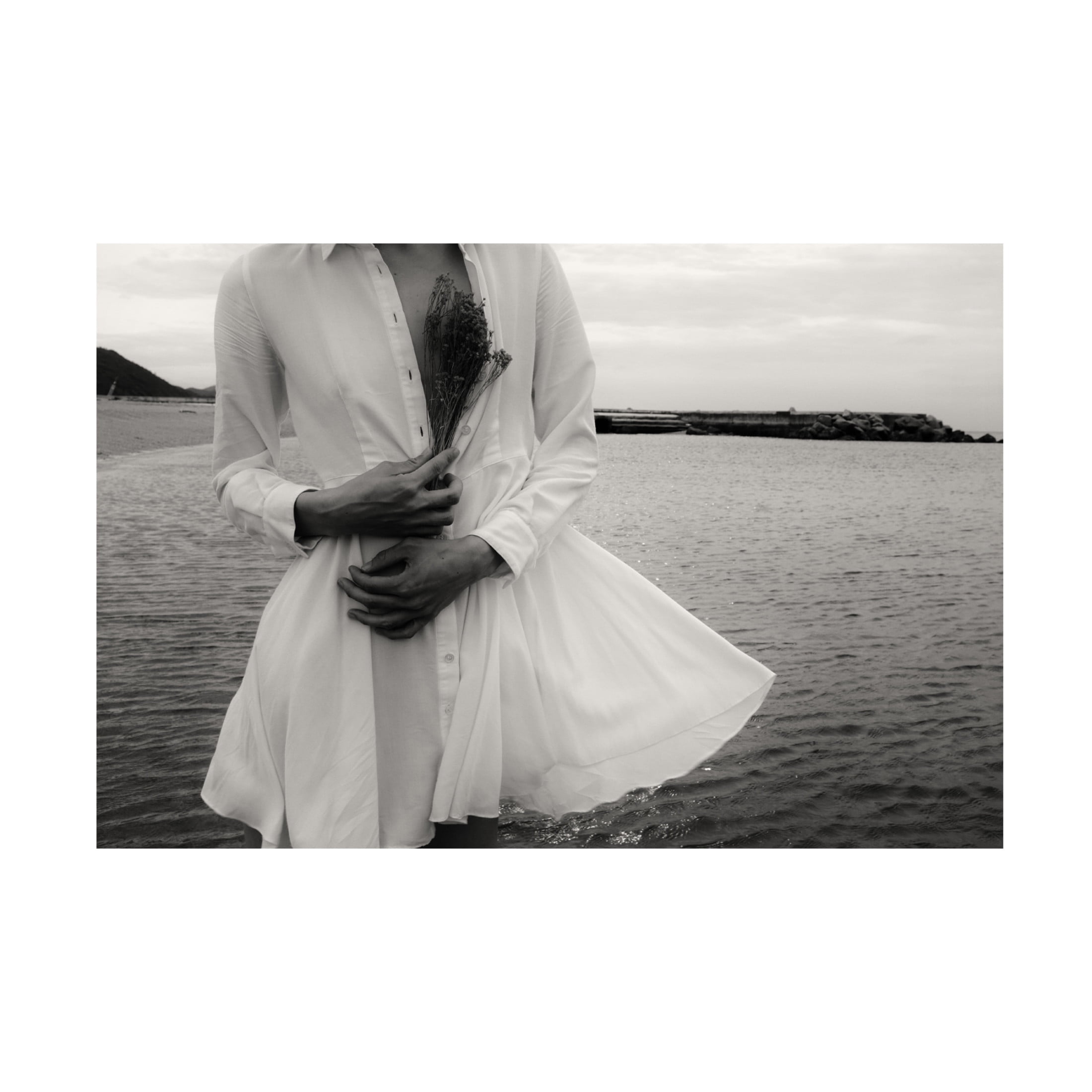 Trademark Fine Art Takaaki Ishikura Ebb Tide Canvas Wall Art