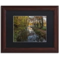 thumbnail image 1 of Trademark Fine Art 'Take me to the Pond' Canvas Art by Michael Blanchette Photography, Black Matte, Wood Frame, 1 of 4