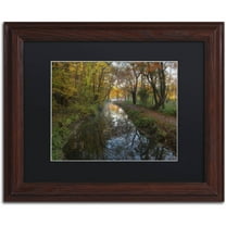 Trademark Fine Art 'Take me to the Pond' Canvas Art by Michael Blanchette Photography, Black Matte, Wood Frame