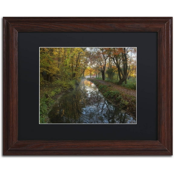 Trademark Fine Art 'Take me to the Pond' Canvas Art by Michael Blanchette Photography, Black Matte, Wood Frame