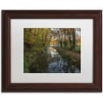thumbnail image 1 of Trademark Fine Art 'Take me to the Pond' Canvas Art by Michael Blanchette Photography, White Matte, Wood Frame, 1 of 4