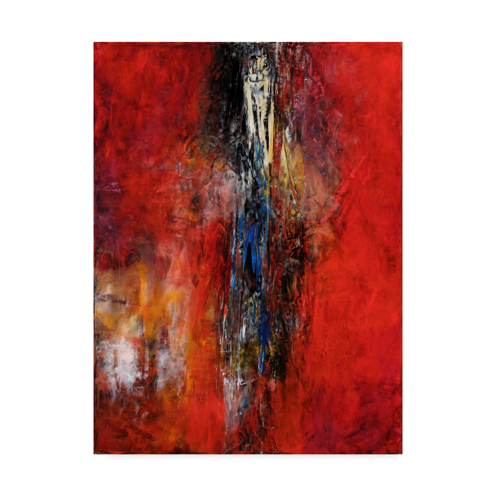 Trademark Fine Art 'Taking The Plunge' Canvas Art by Aleta Pippin