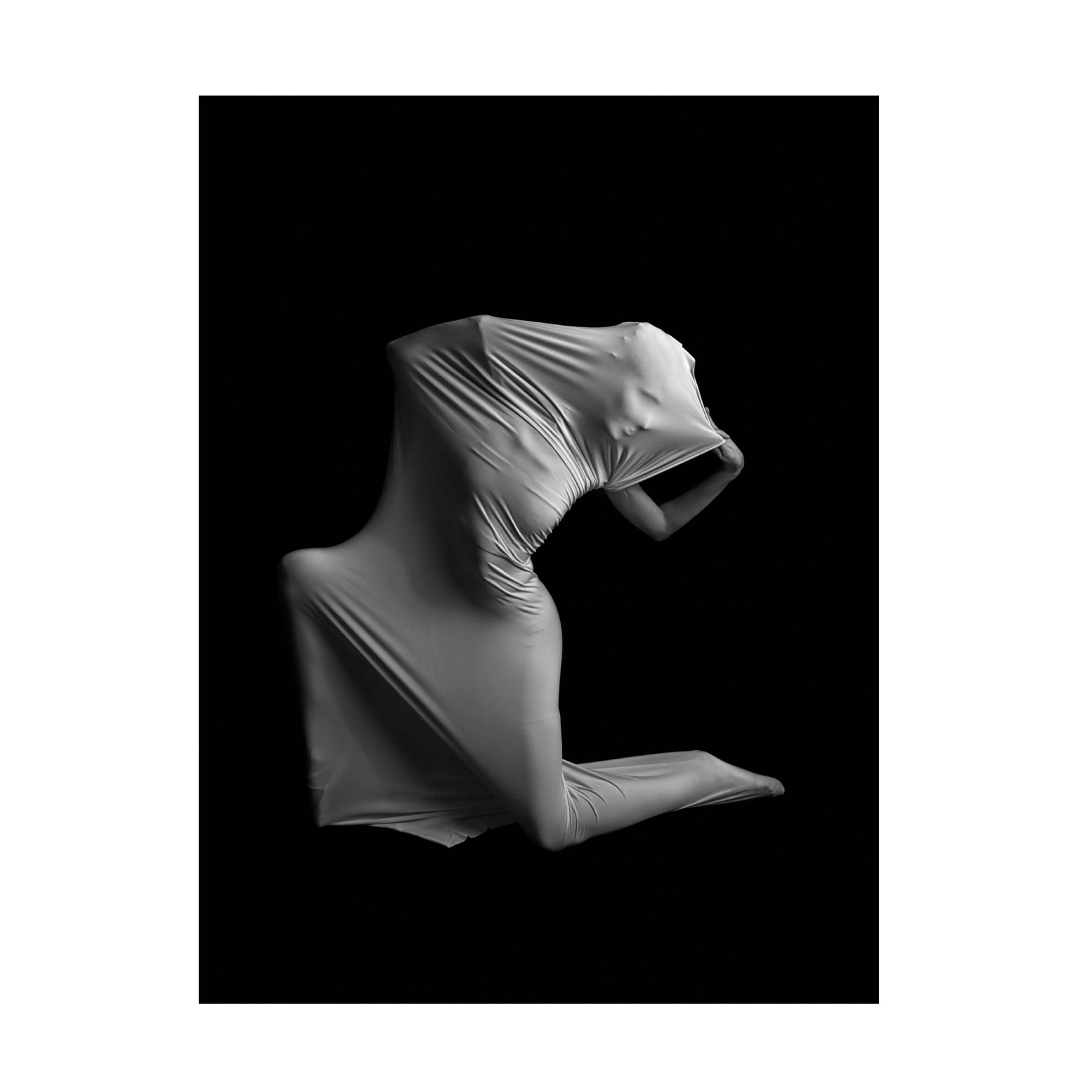 Trademark Fine Art Tali Stein  Harmony Canvas Wall Art