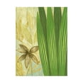 thumbnail image 1 of Trademark Fine Art 'Tall Narrow Palm' Canvas Art by Pablo Esteban, 1 of 3