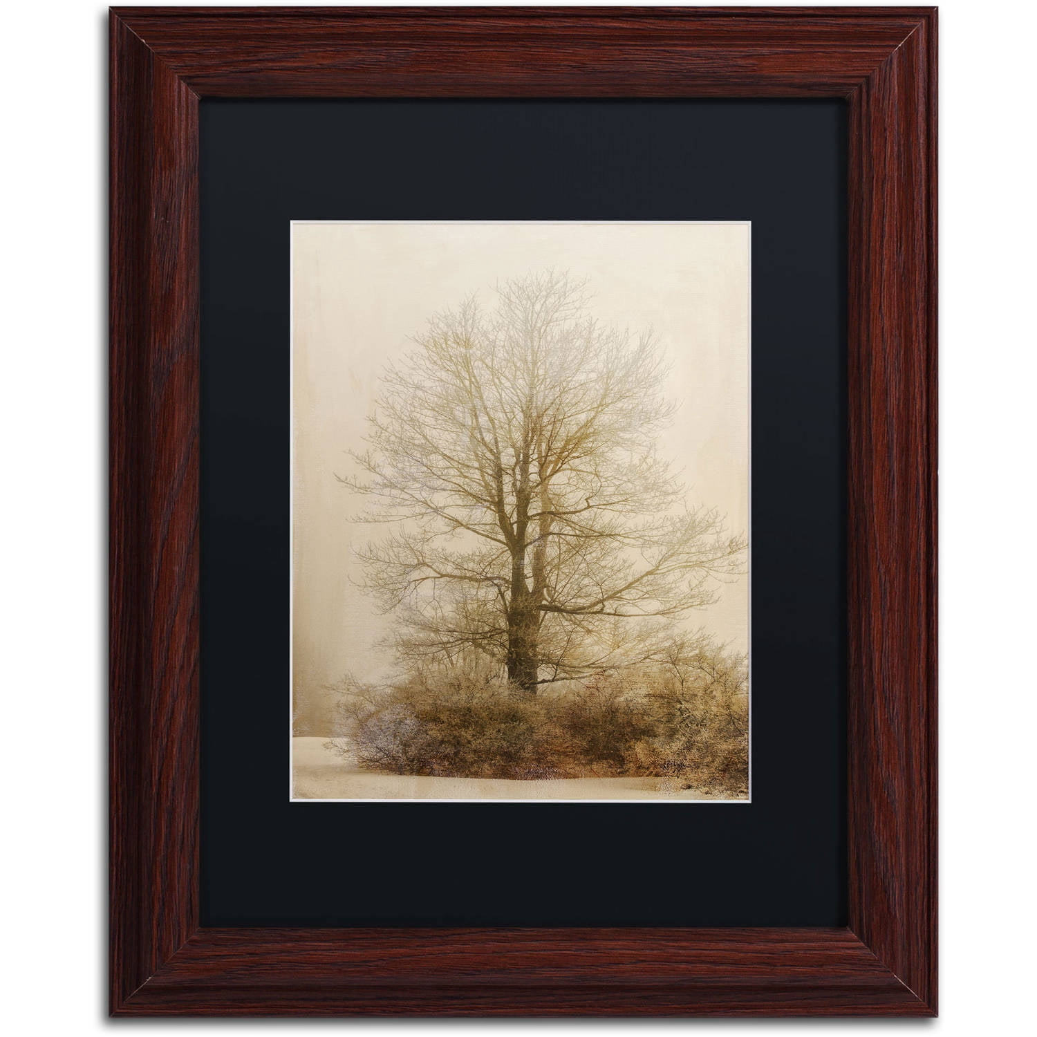 Trademark Fine Art "Tan Tones in the Fog" Canvas Art by Lois Bryan, Black Matte, Wood Frame