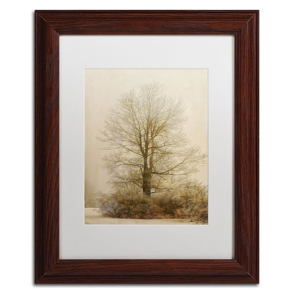 Trademark Fine Art "Tan Tones in the Fog" Canvas Art by Lois Bryan, White Matte, Wood Frame