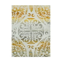 Trademark Fine Art 'Tapestry Rosette I' Canvas Art by Chariklia Zarris