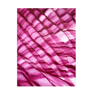 Trademark Fine Art Tara Mann Raspberry Ripple Canvas Wall Art