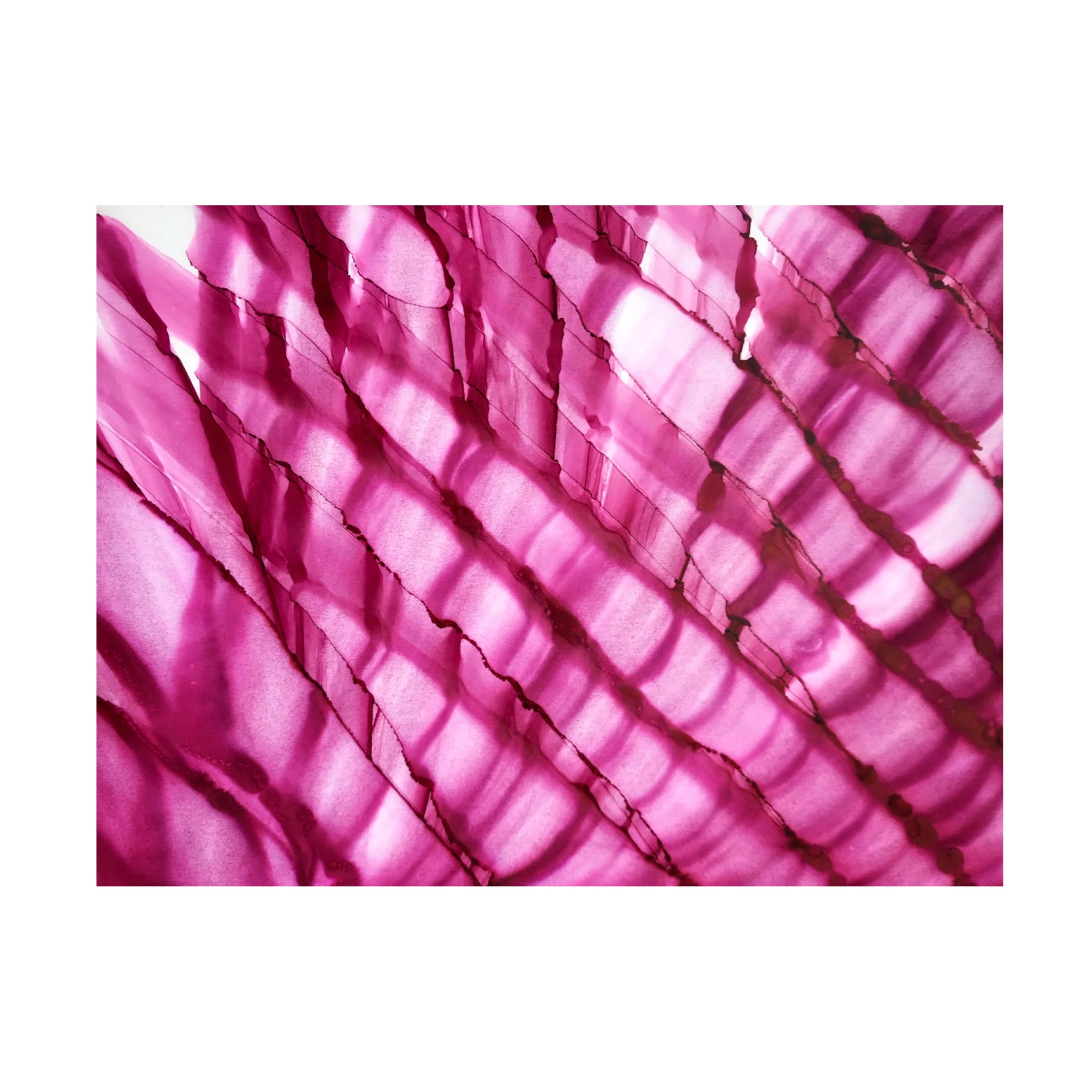 Trademark Fine Art Tara Mann Raspberry Ripple horizontal Canvas Wall Art