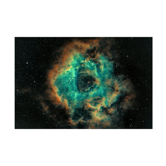 Trademark Fine Art TaranSohal  The Rosette Canvas Wall Art