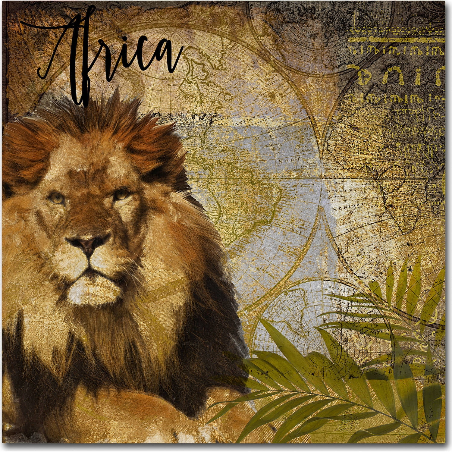 Trademark Fine Art "Taste Of Africa I" Canvas Art by Color Bakery