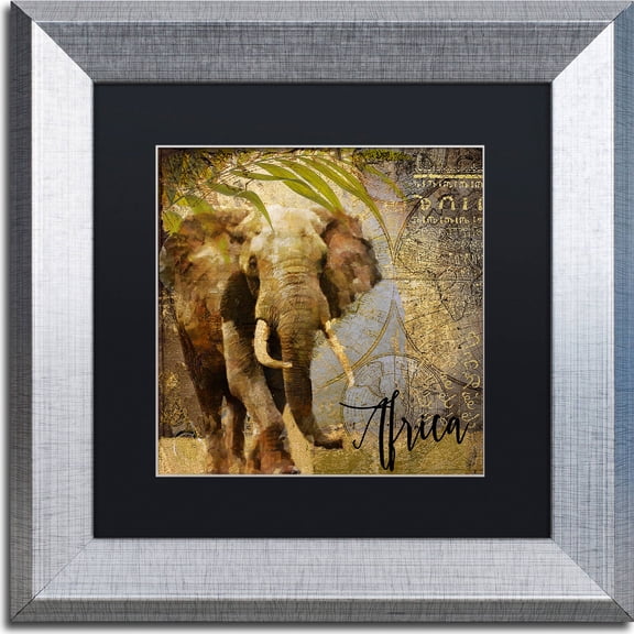 Trademark Fine Art "Taste Of Africa III" Canvas Art by Color Bakery, Black Matte, Silver Frame