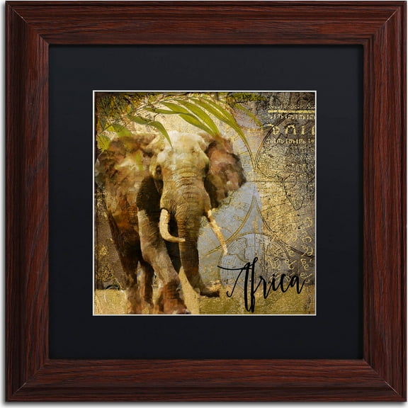 Trademark Fine Art "Taste Of Africa III" Canvas Art by Color Bakery, Black Matte, Wood Frame