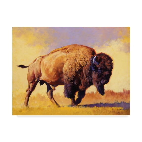 Trademark Fine Art 'Tatanka' Canvas Art by Julie T. Chapman