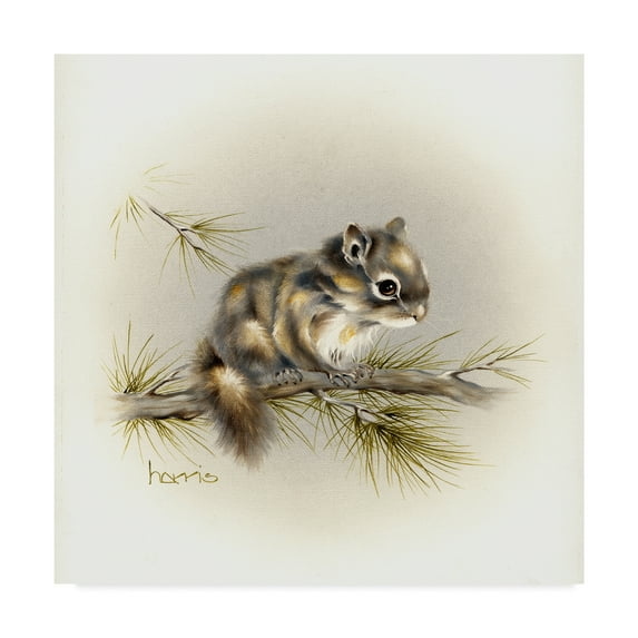 Trademark Fine Art 'Tattle Tail Baby' Canvas Art by Peggy Harris