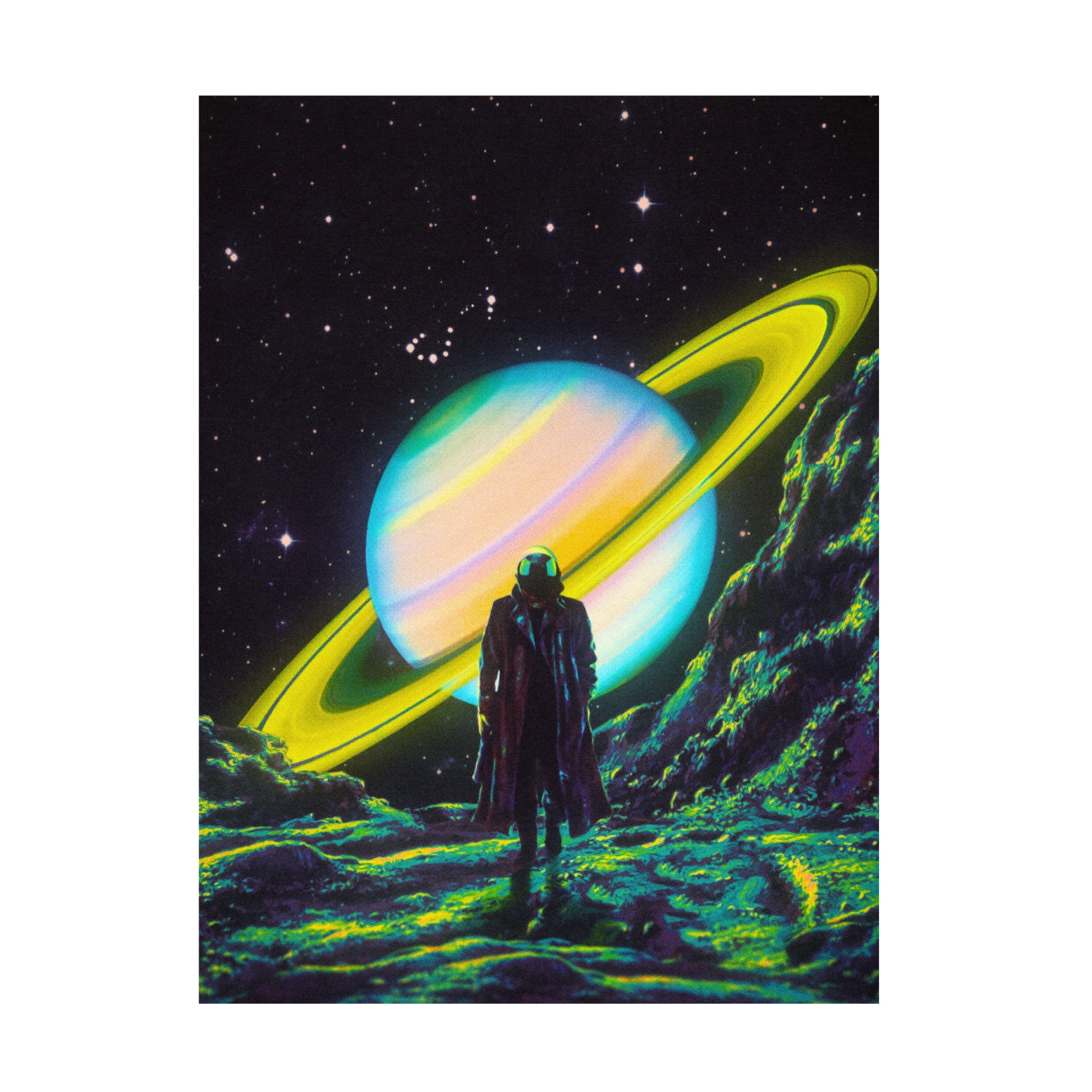 Trademark Fine Art Taudalpoi  The Arrival Canvas Wall Art